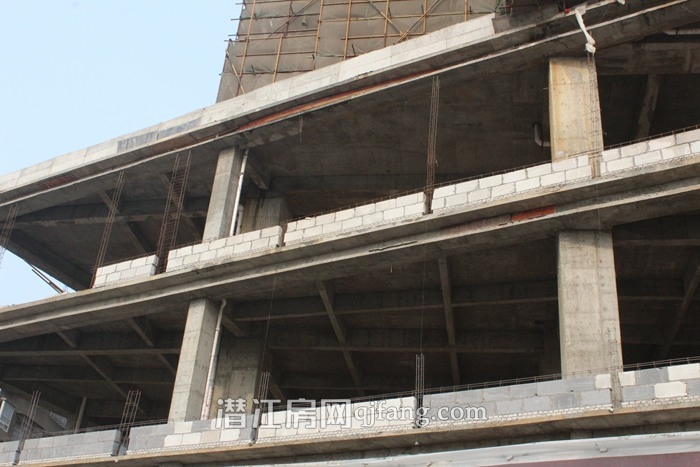 乐居·常青藤6月工程进度 4栋楼均已封顶