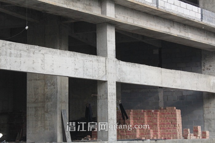 乐居·常青藤6月工程进度 4栋楼均已封顶