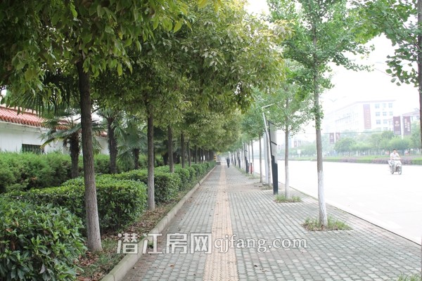 我的看房日记:盛世龙城——都市生活风向标