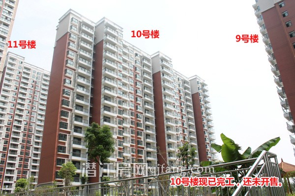 盛世东城8月工程进度:小区内部正在做绿化