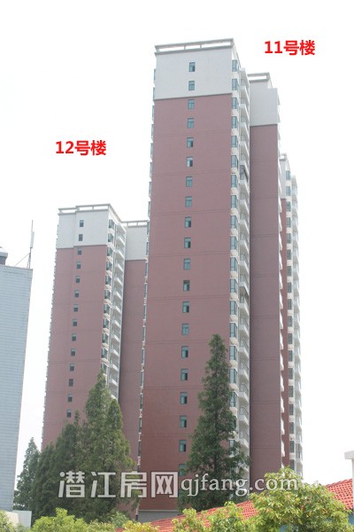 盛世东城8月工程进度:小区内部正在做绿化