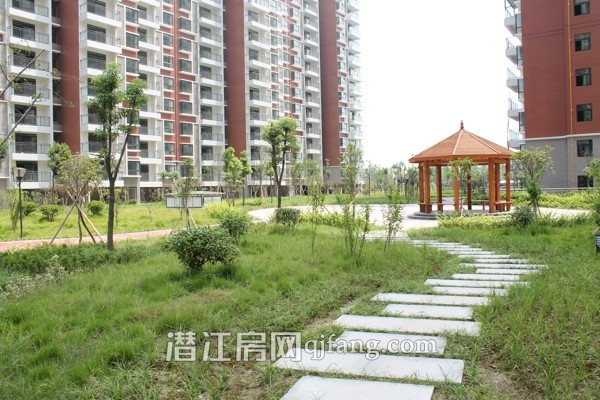 盛世东城8月工程进度:小区内部正在做绿化