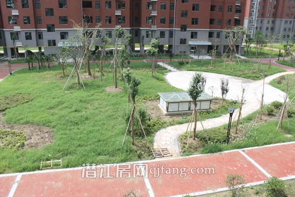 盛世东城8月工程进度:小区内部正在做绿化