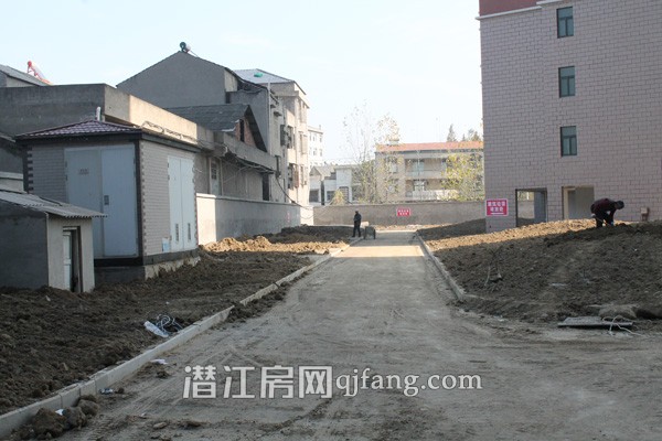 盛世东城11月工程进度:小区绿化初见雏形