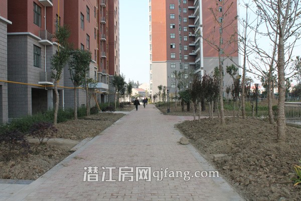 盛世东城11月工程进度:小区绿化初见雏形