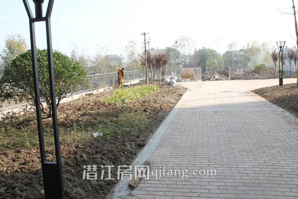 盛世东城11月工程进度:小区绿化初见雏形