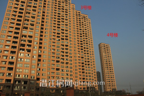 阳光水岸1月工程进度:小区内部绿化基本呈现