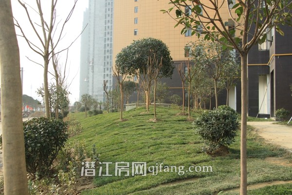 阳光水岸1月工程进度:小区内部绿化基本呈现