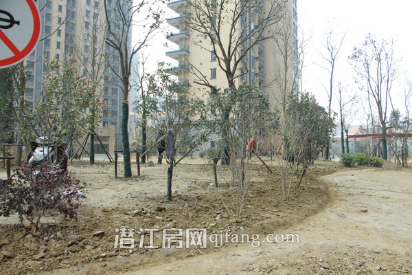 樟华国际1月工程进度:小区绿化逐步完善