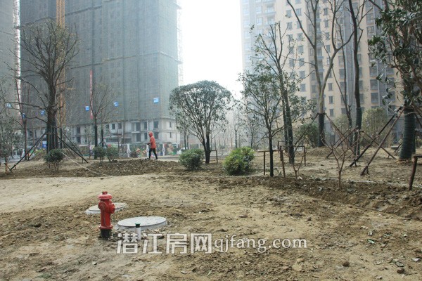 樟华国际1月工程进度:小区绿化逐步完善