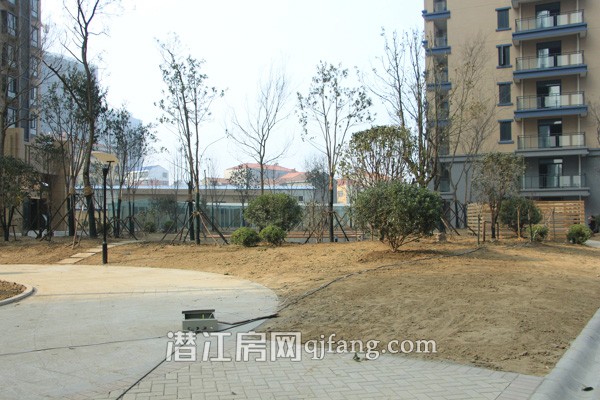 樟华国际1月工程进度:小区绿化逐步完善