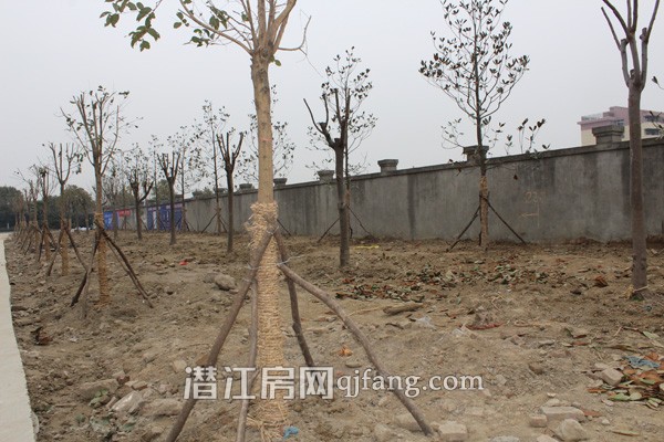 绿城熙园1月工程进度:一期外立面呈现