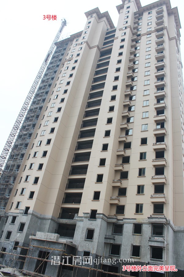 中南世纪城1月工程进度:10号楼建至23层