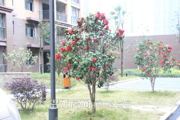 金江星城展现春天 园林绿化亲近自然