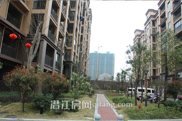 金江星城展现春天 园林绿化亲近自然