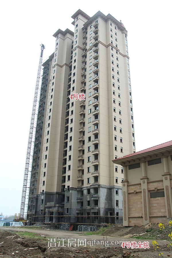 中南世纪城3月工程进度 10号楼建至24层