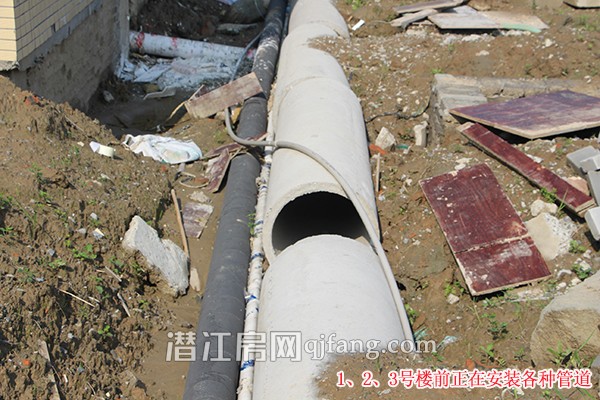 绿城熙园4月工程进度 园林绿化逐步完善