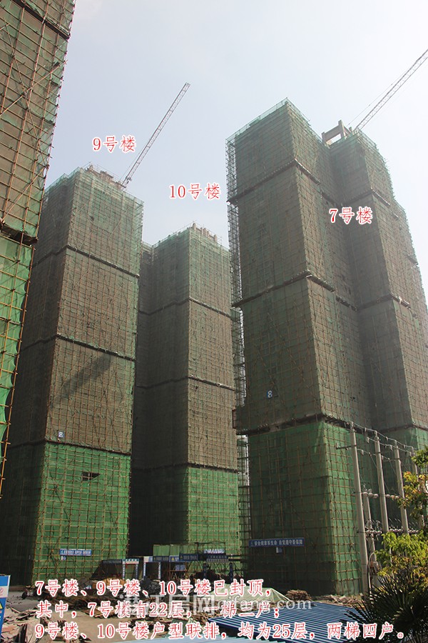 生态白鹤湾5月工程进度:项目全线封顶