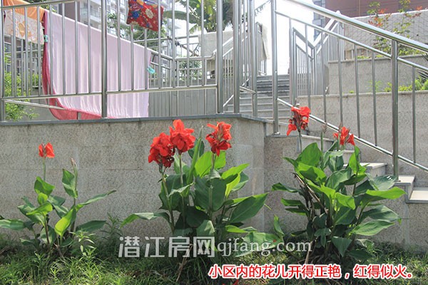 盛世东城6月工程进度:小区绿化美景呈现