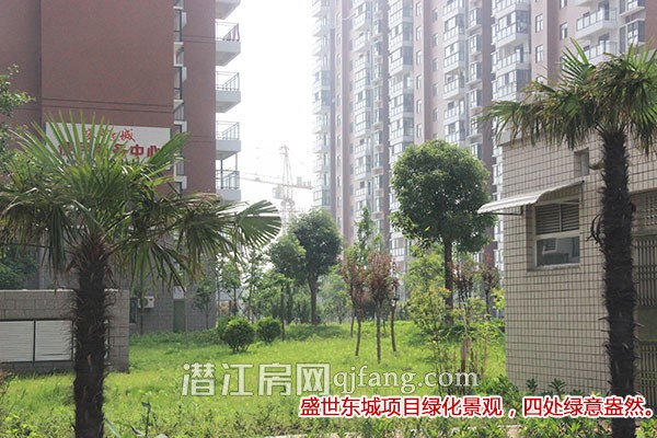 盛世东城6月工程进度:小区绿化美景呈现