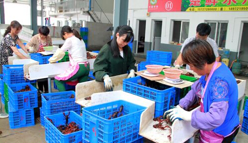 我市龙虾交易中心正式投入运营