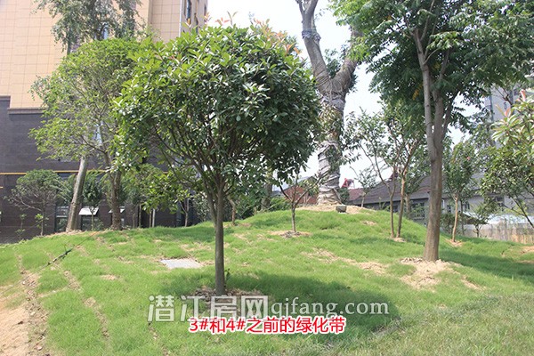 阳光水岸7月工程进度:1号楼正拆防护网