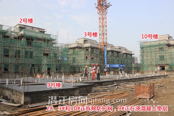 中南世纪雅苑工程进度:已开始做绿化