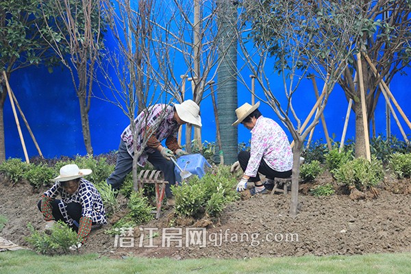 中南世纪雅苑看房日记:心动了,该行动了!