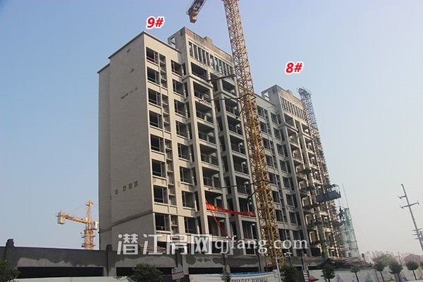 御景豪庭11月工程进度：8#、9#外立面完美呈现