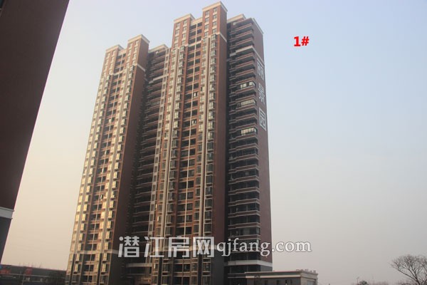 海韵丽景园12月工程进度：一期正在做园林景观