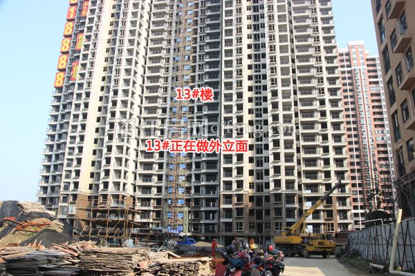 201703031134361004.jpg 13#11.jpg