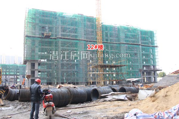 201703031136461004.jpg 12#.jpg