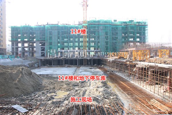 201703031137121004.jpg 11#.jpg