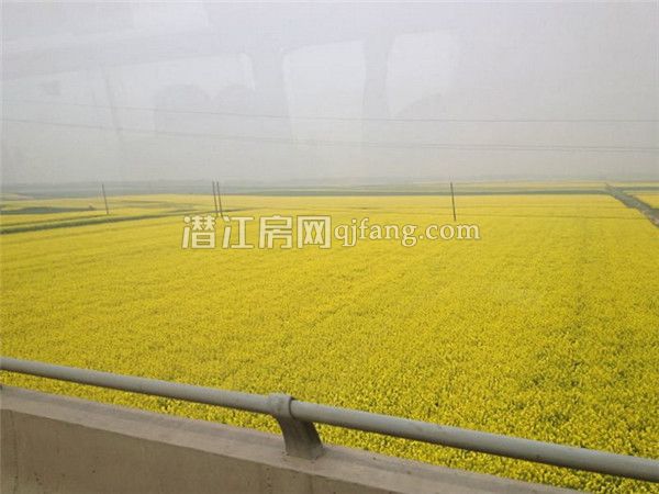 201703151156011004.jpg 11_副本.jpg