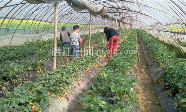 201703151156141004.jpg 22_副本.jpg