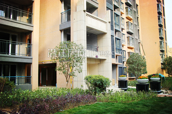 2017031711092095266jbiy9d.png 00.png