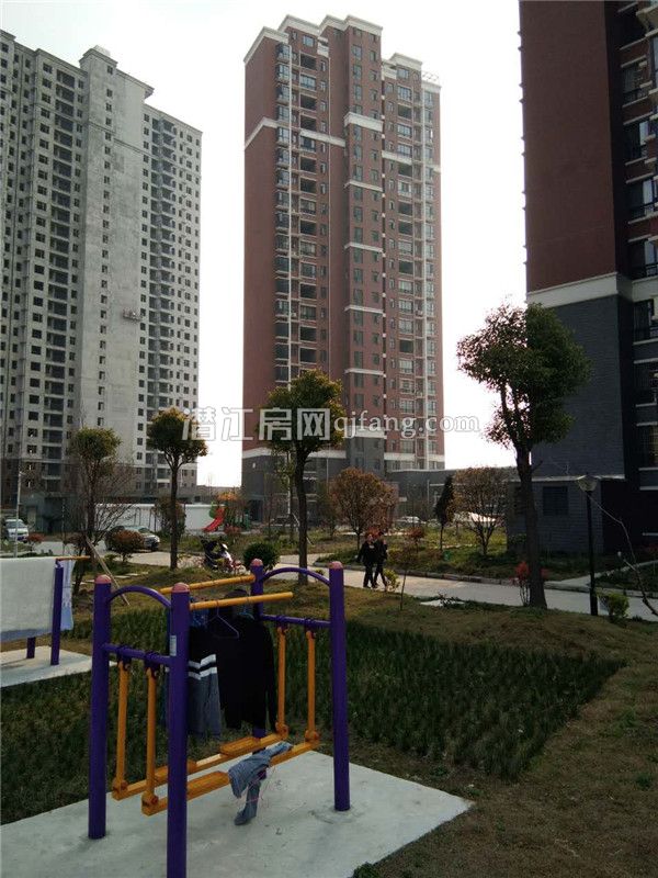 2017031711455342169wturea.jpg 2_副本.jpg