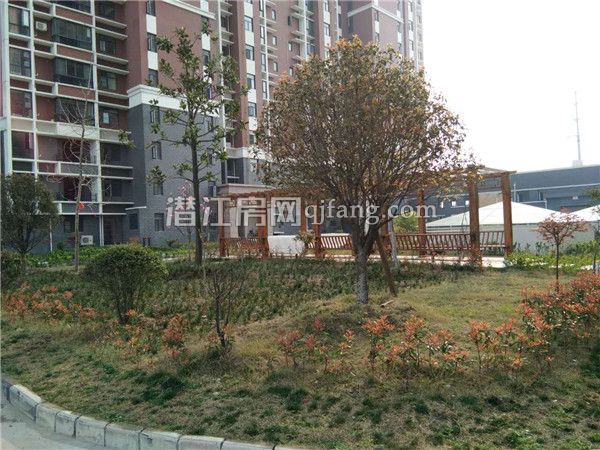 2017031711491555604s3n7an.jpg 6_副本.jpg