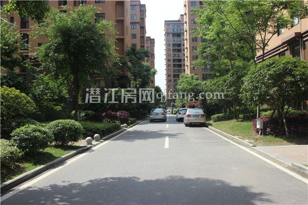 20170427145843106098fisku.jpg IMG_9515.jpg