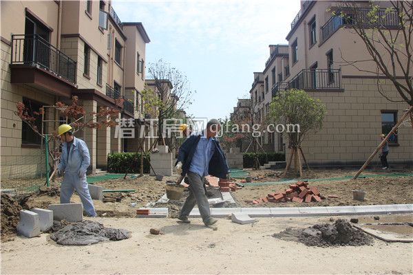 2017042716310565526kj7bk1.jpg IMG_9524.jpg