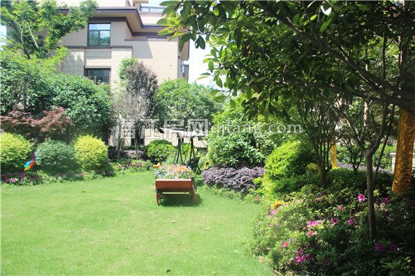 2017042716402744301uku8jl.jpg IMG_9498.jpg