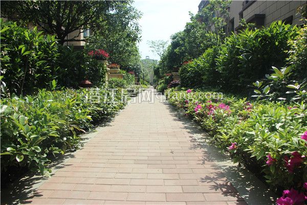 2017042716404298945ufvgvd.jpg IMG_9470.jpg