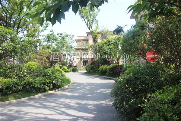 2017042716410141336uugzd5.jpg IMG_9468.jpg