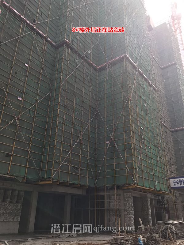 2017051108171965539ee4gyi.jpg 8.jpg