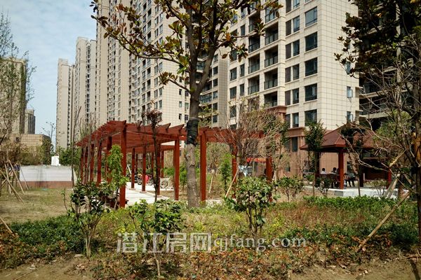 2017052514545391157f9utit.jpg IMG_20170525_102558.jpg