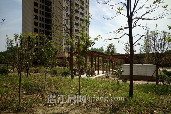 2017052514550390956fnaztl.jpg IMG_20170525_102753.jpg