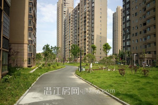 2017060816402724318glnkcu.jpg IMG_20170608_153325.jpg