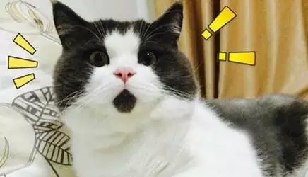 讨论：潜江的房价还会涨吗？啥时候跌？