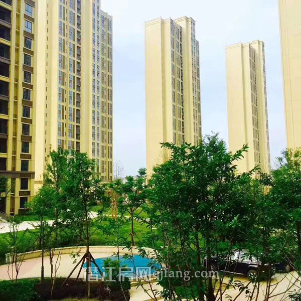 2017071215415761491knxanl.jpg 3.jpg