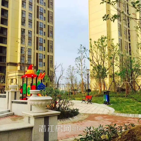 2017071215440994133il55tl.jpg 4.jpg